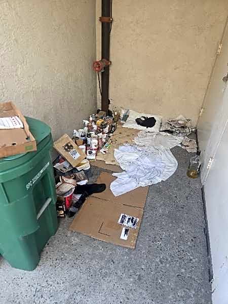 Image submitted with report