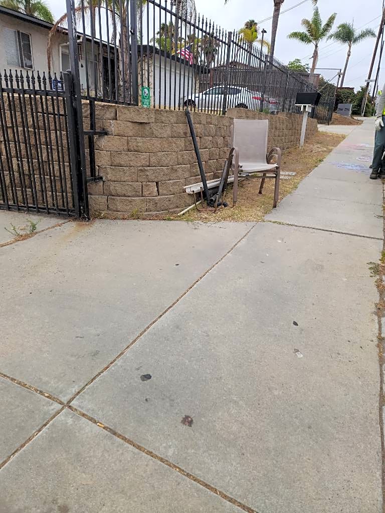Image submitted with report