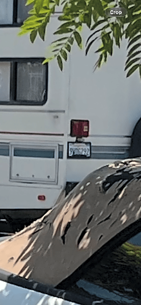 Image submitted with report