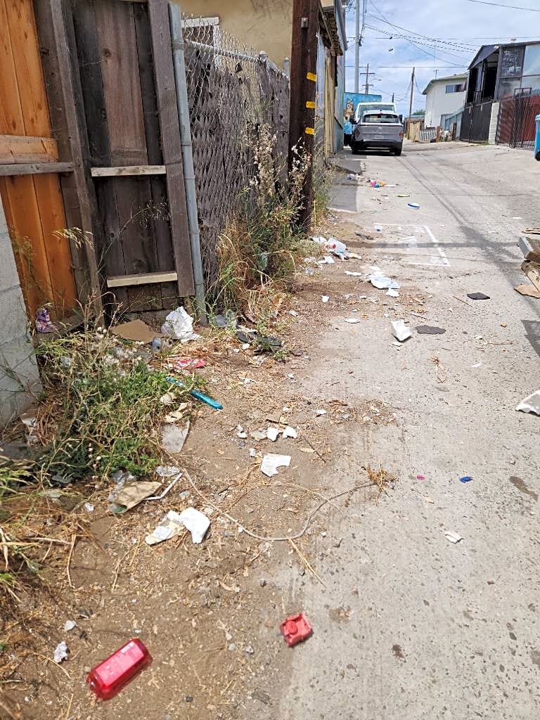 Image submitted with report
