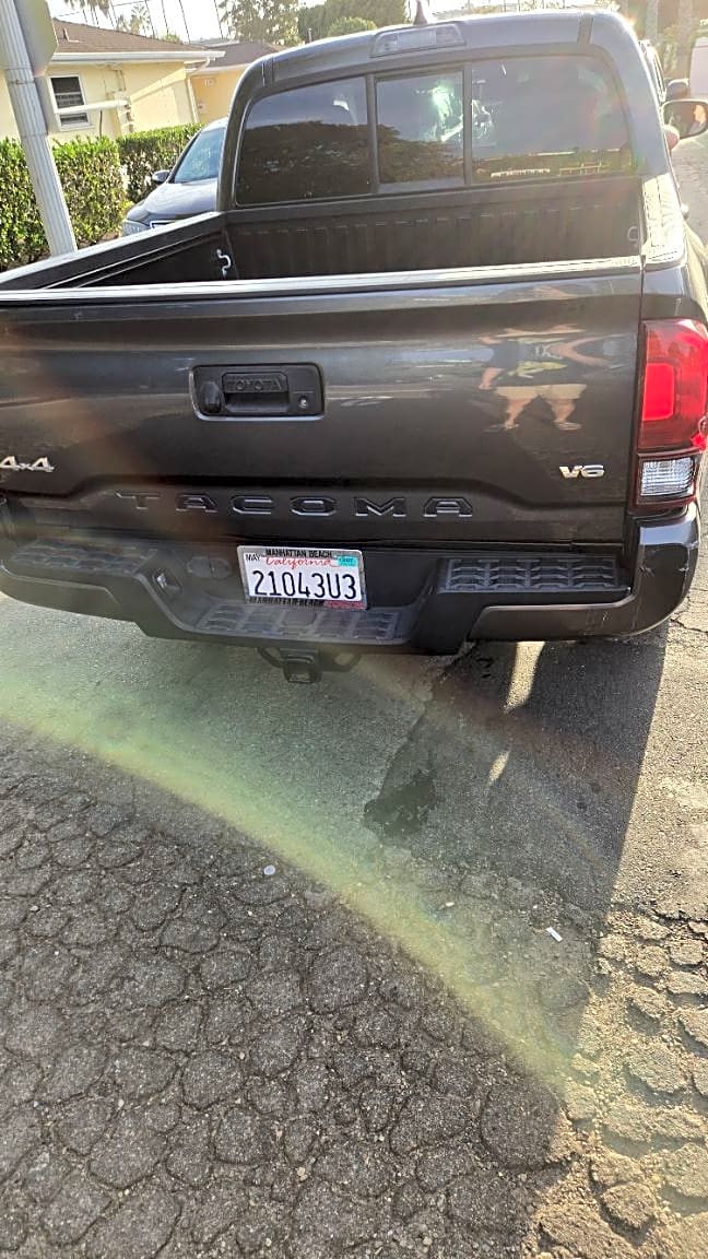 Image submitted with report