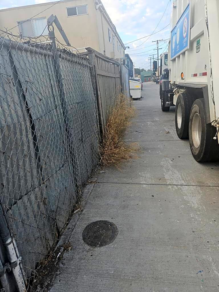 Image submitted with report