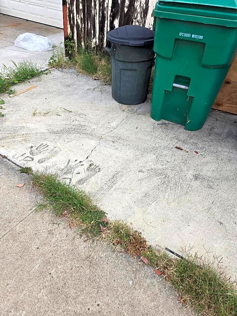 Image submitted with report