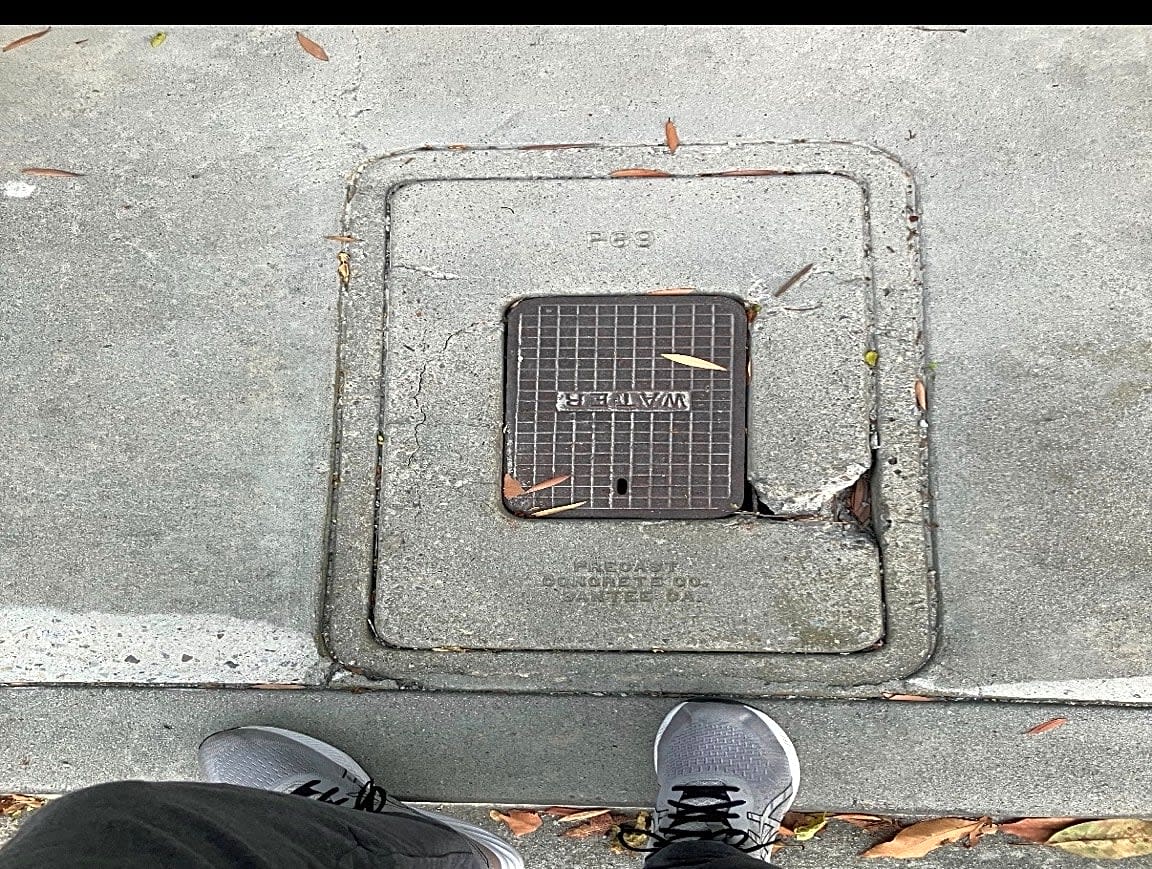 Image submitted with report