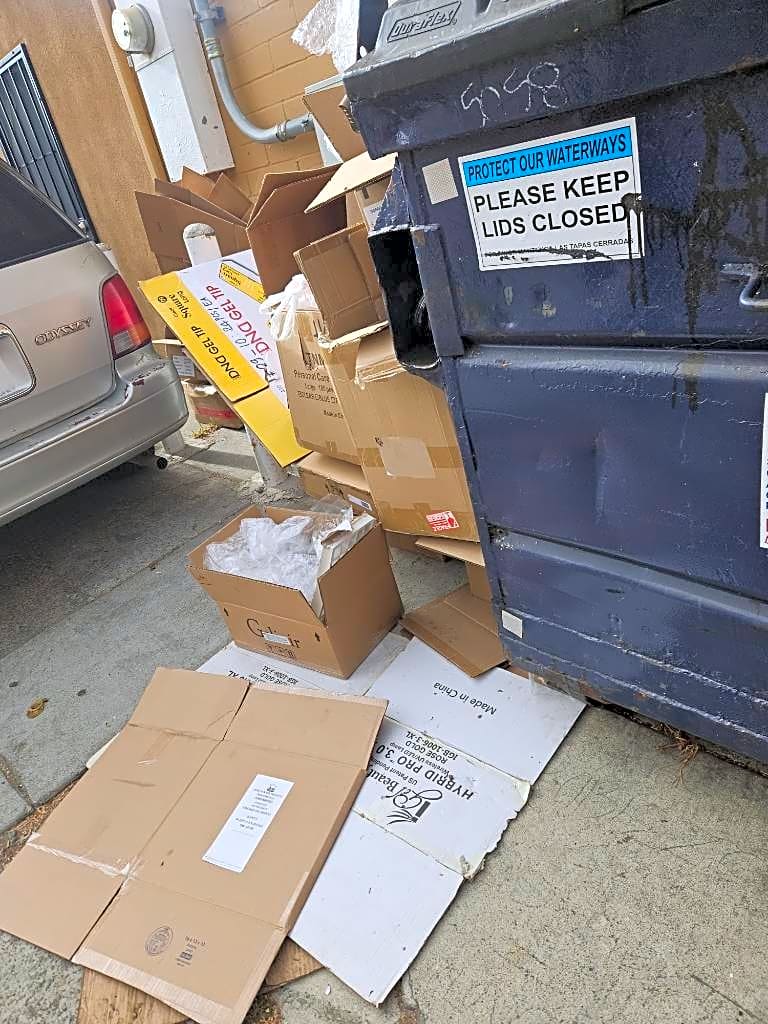 Image submitted with report