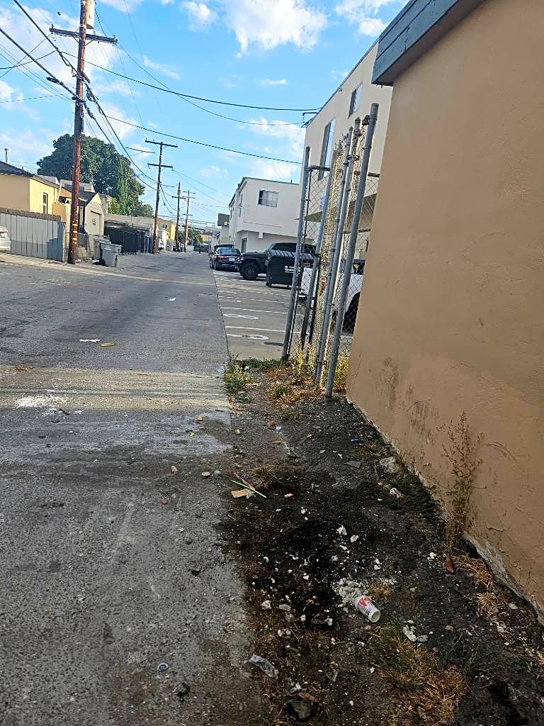 Image submitted with report