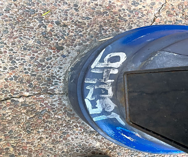 Image submitted with report