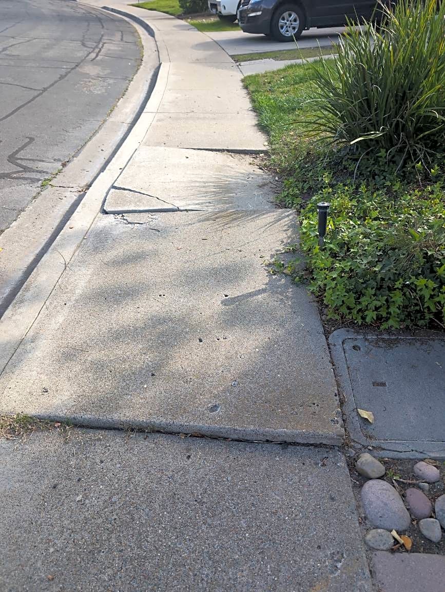 Image submitted with report