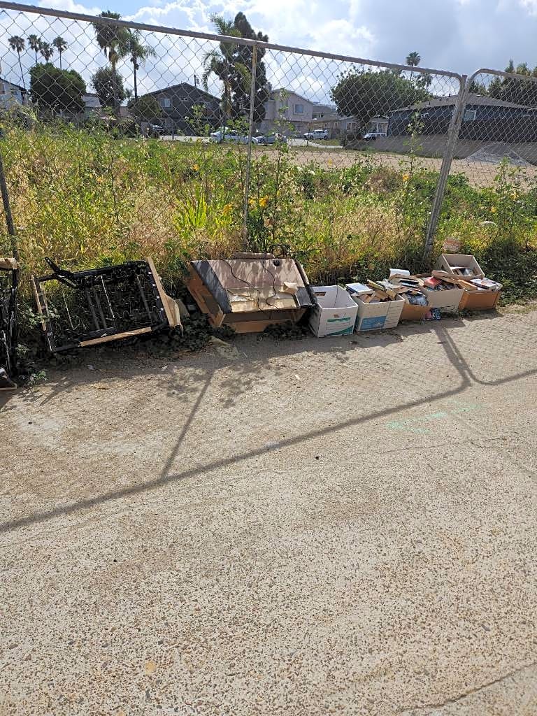 Image submitted with report