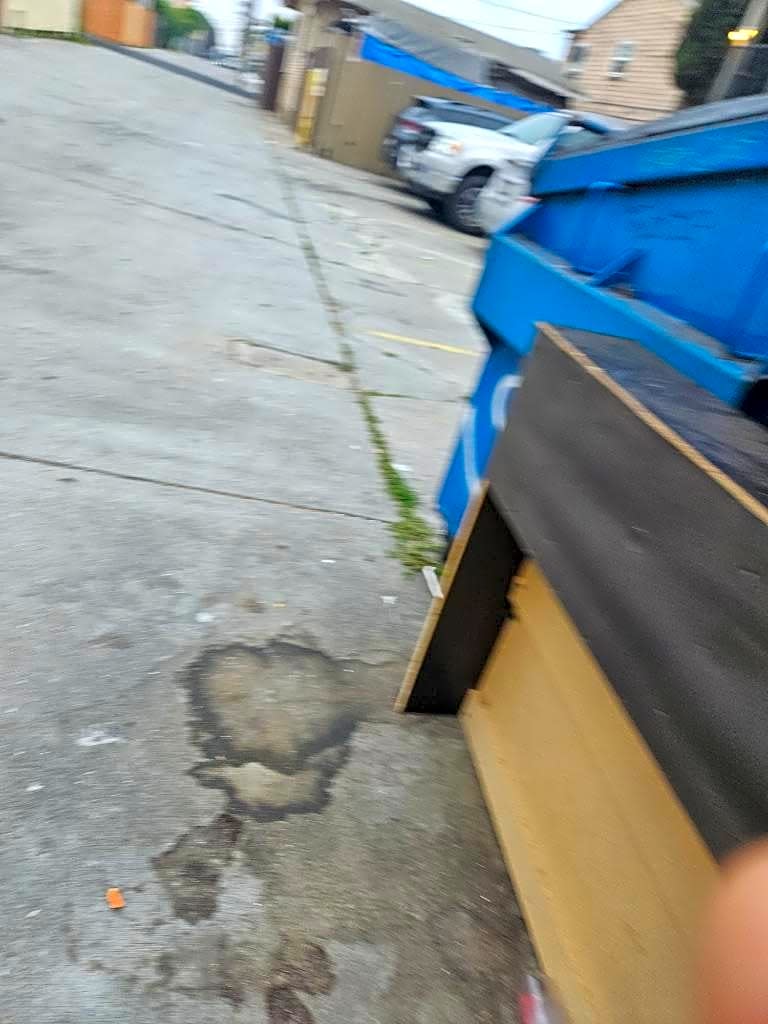 Image submitted with report