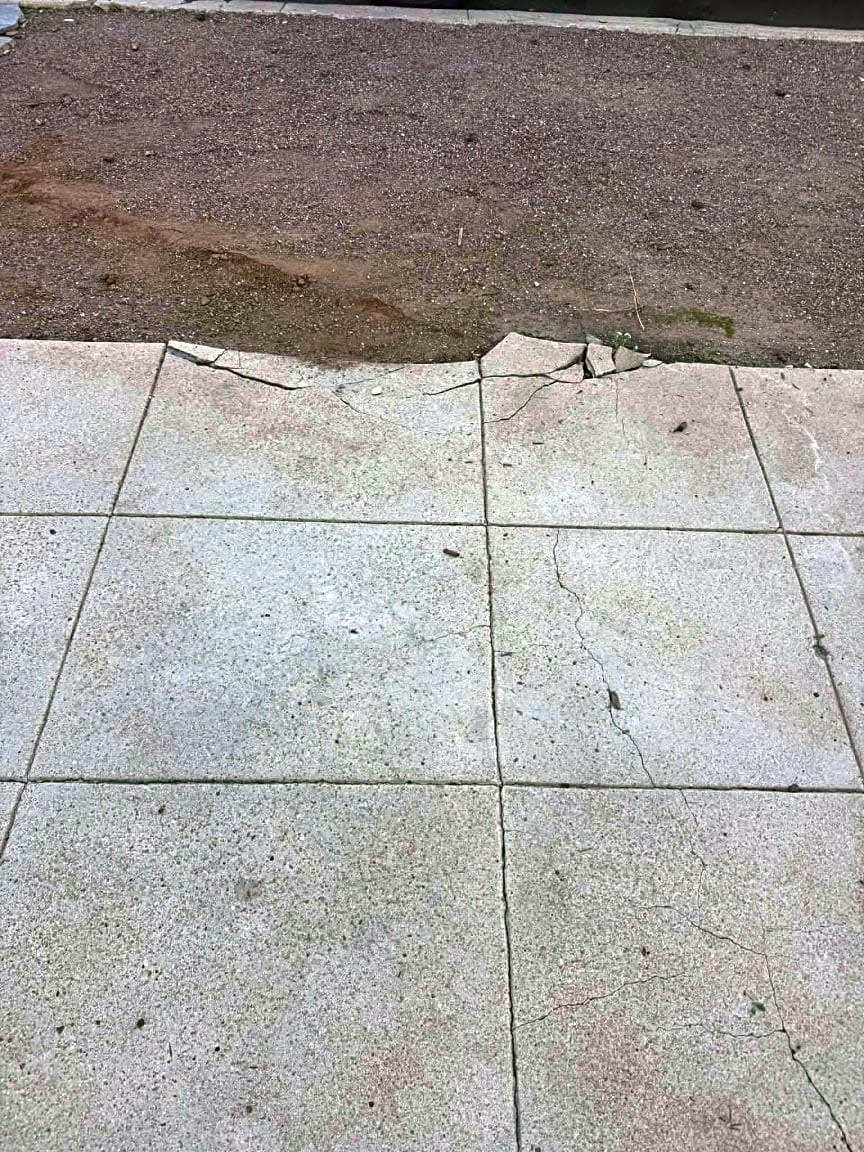 Image submitted with report