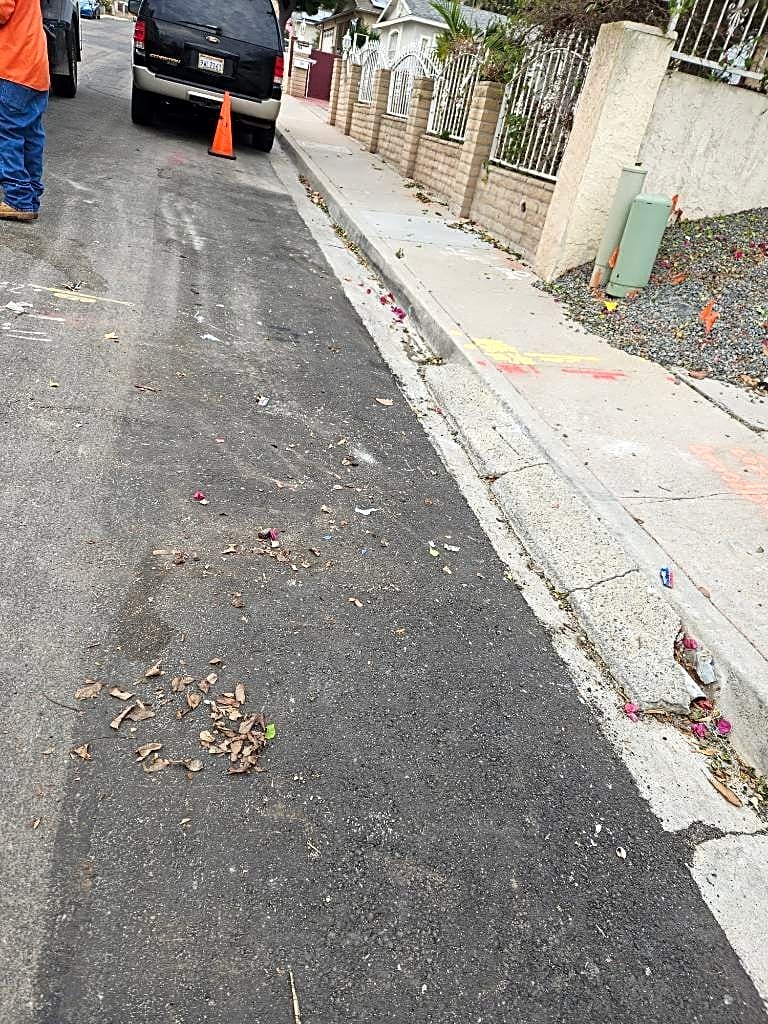 Image submitted with report