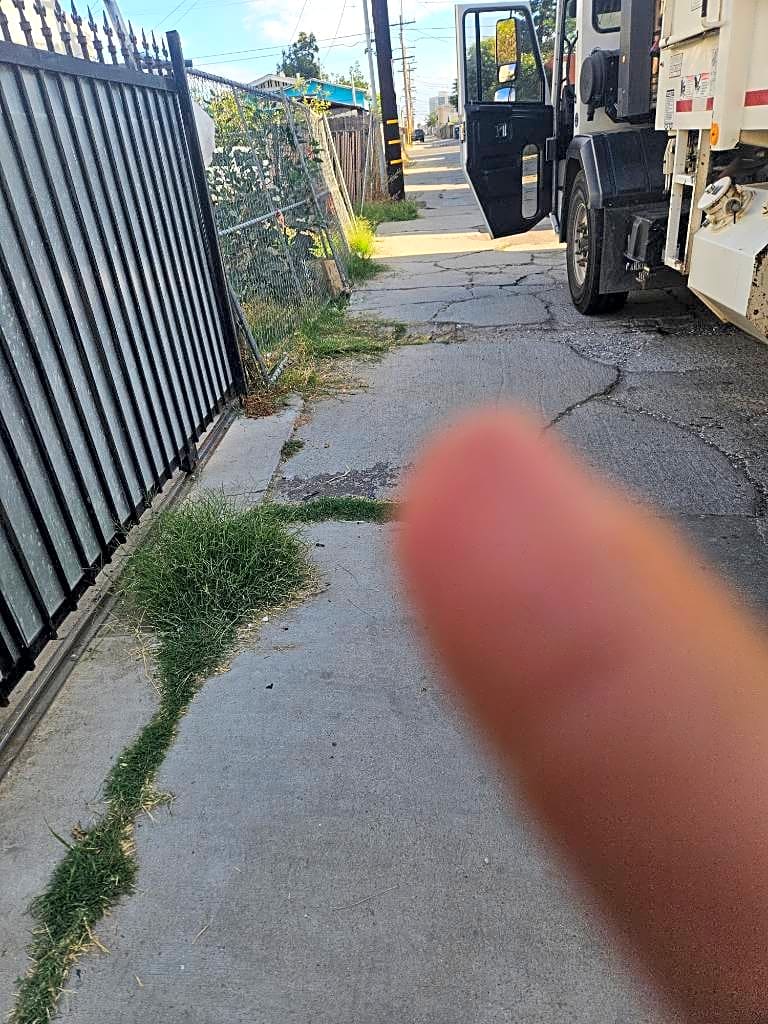 Image submitted with report