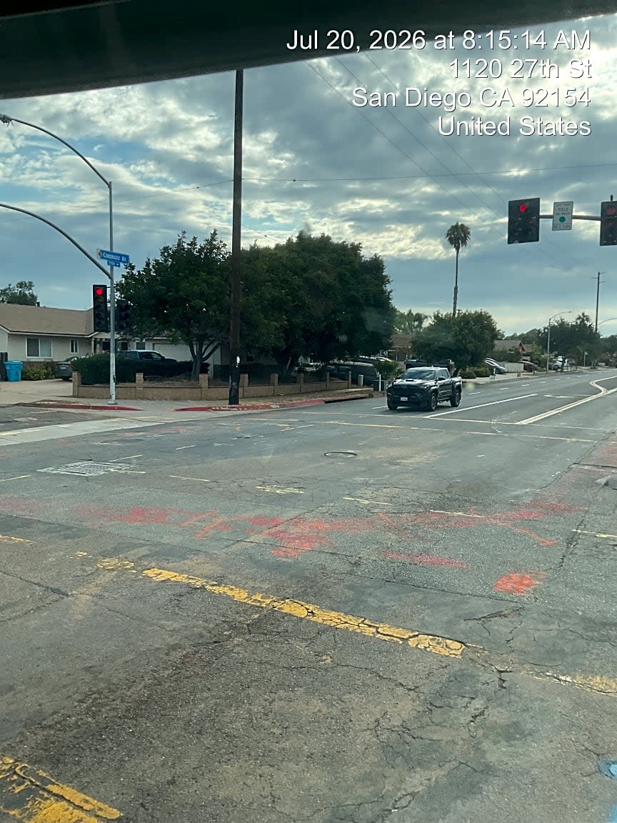 Image submitted with report