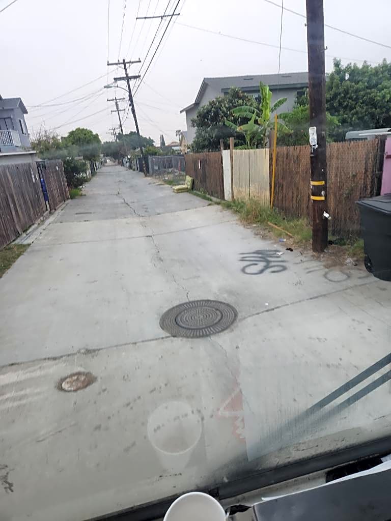 Image submitted with report