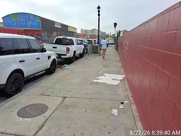 Image submitted with report