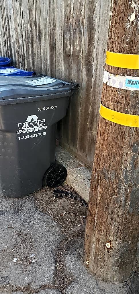 Image submitted with report