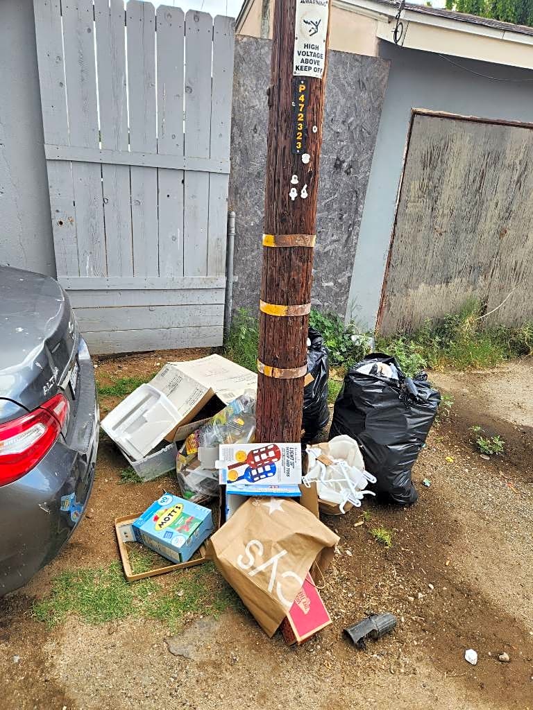 Image submitted with report