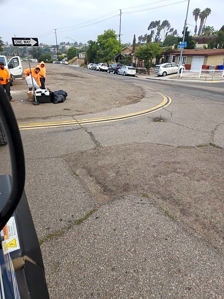 Image submitted with report