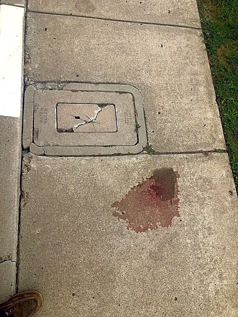 Image submitted with report