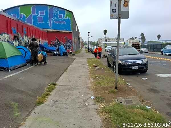 Image submitted with report