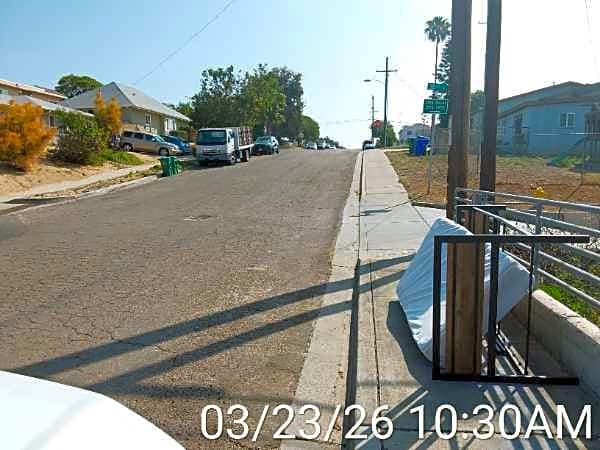 Image submitted with report