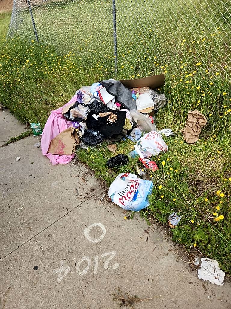 Image submitted with report