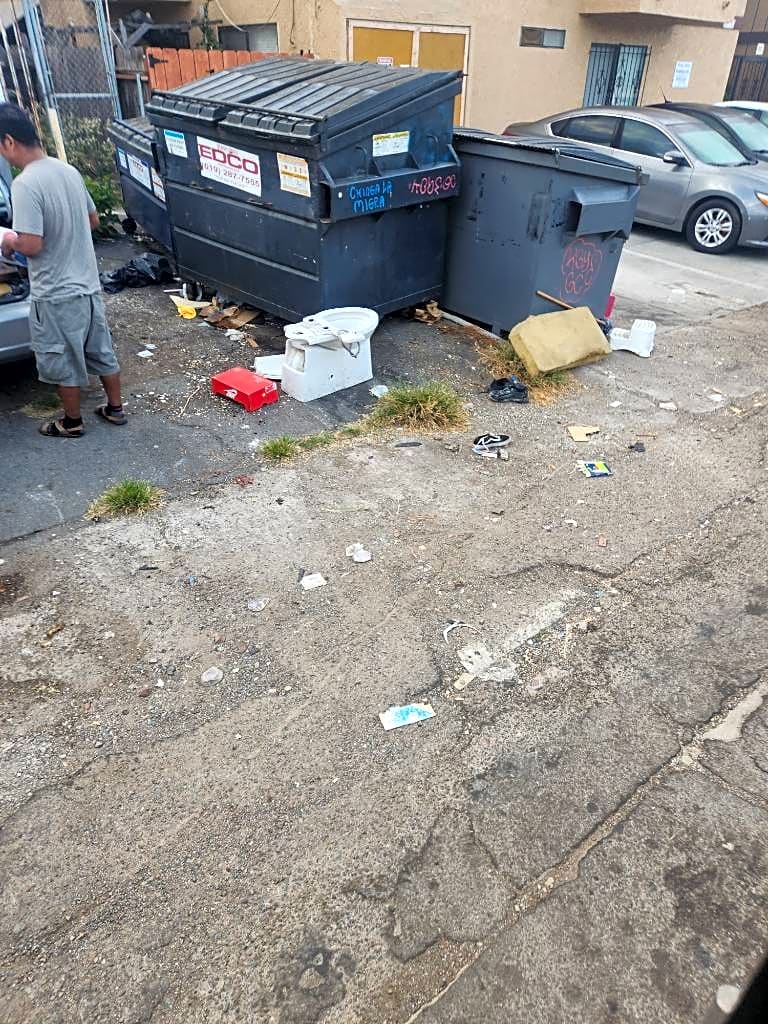 Image submitted with report