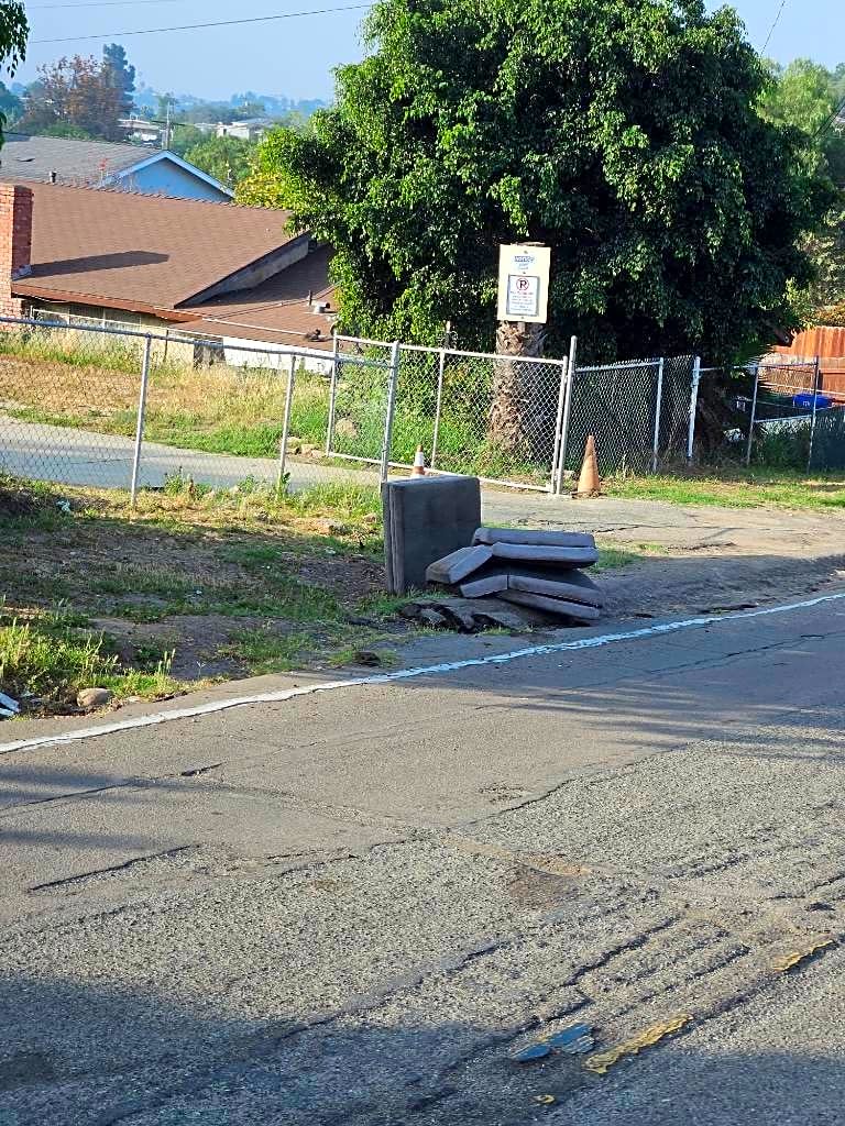 Image submitted with report