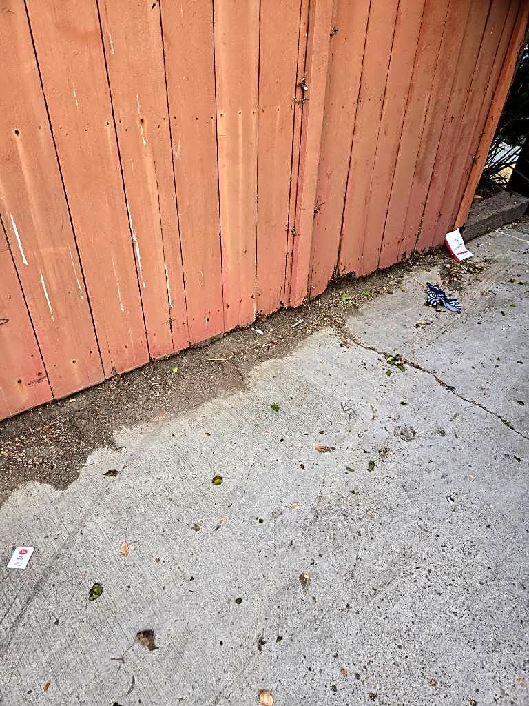 Image submitted with report