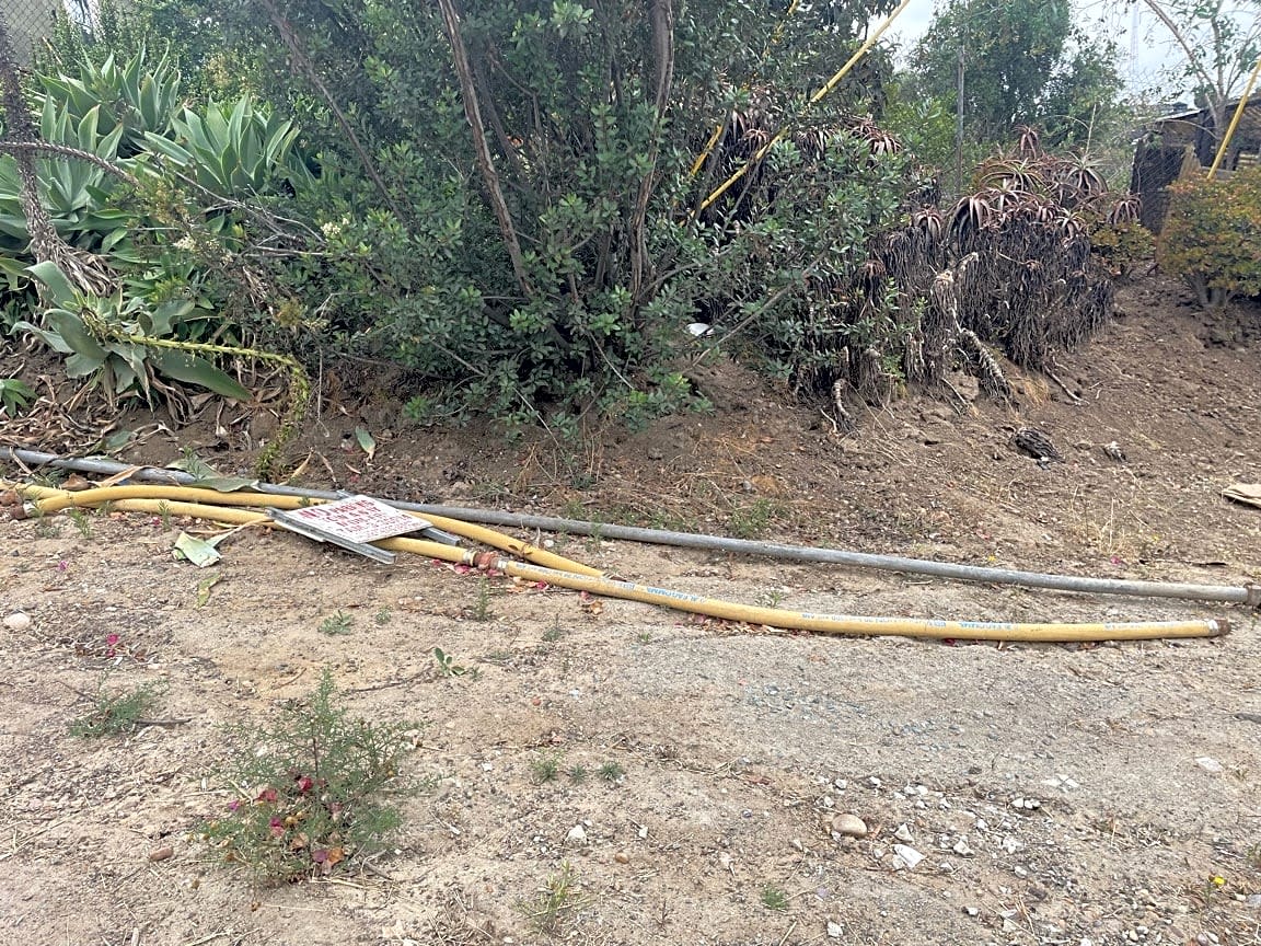 Image submitted with report