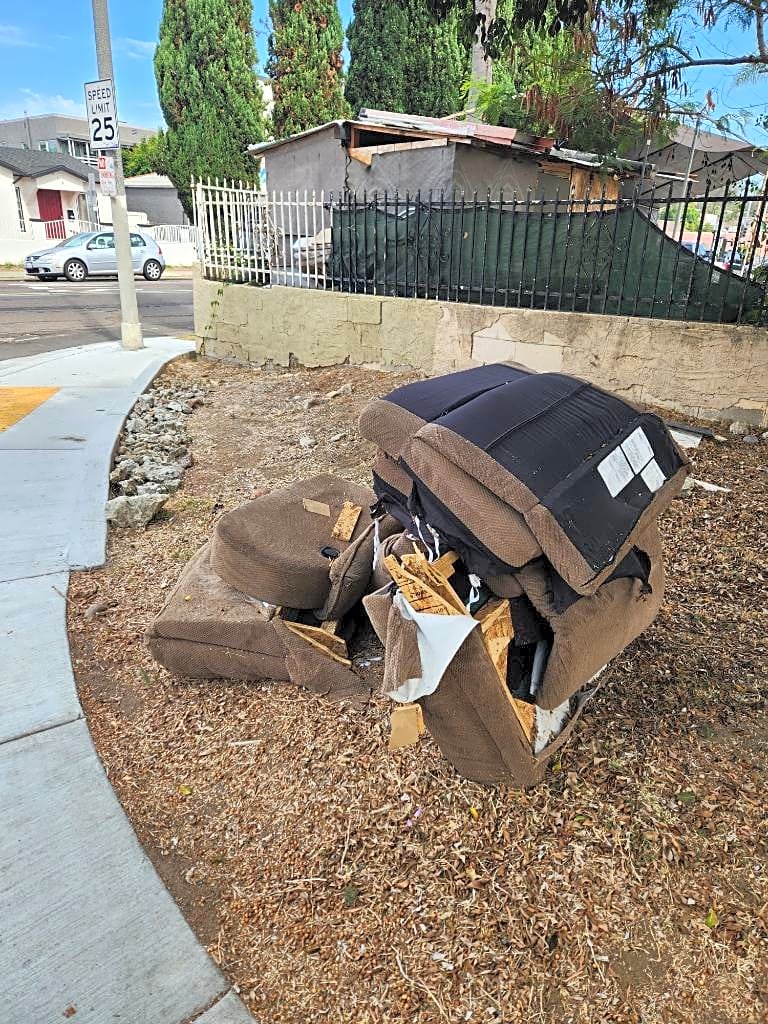 Image submitted with report