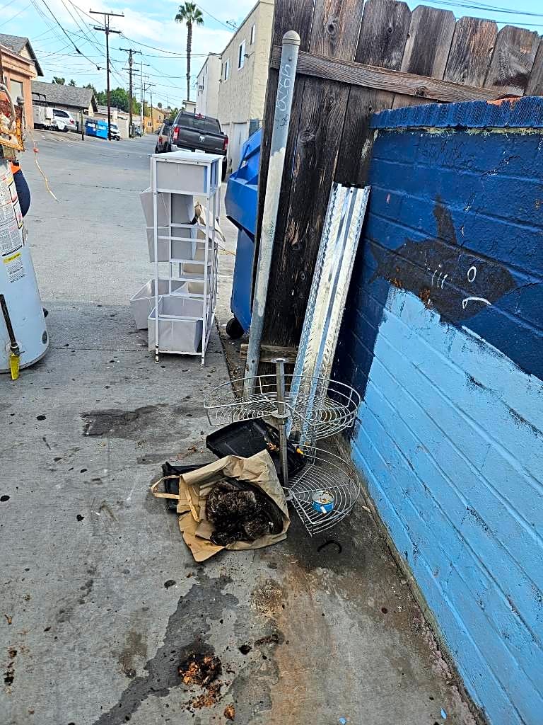 Image submitted with report