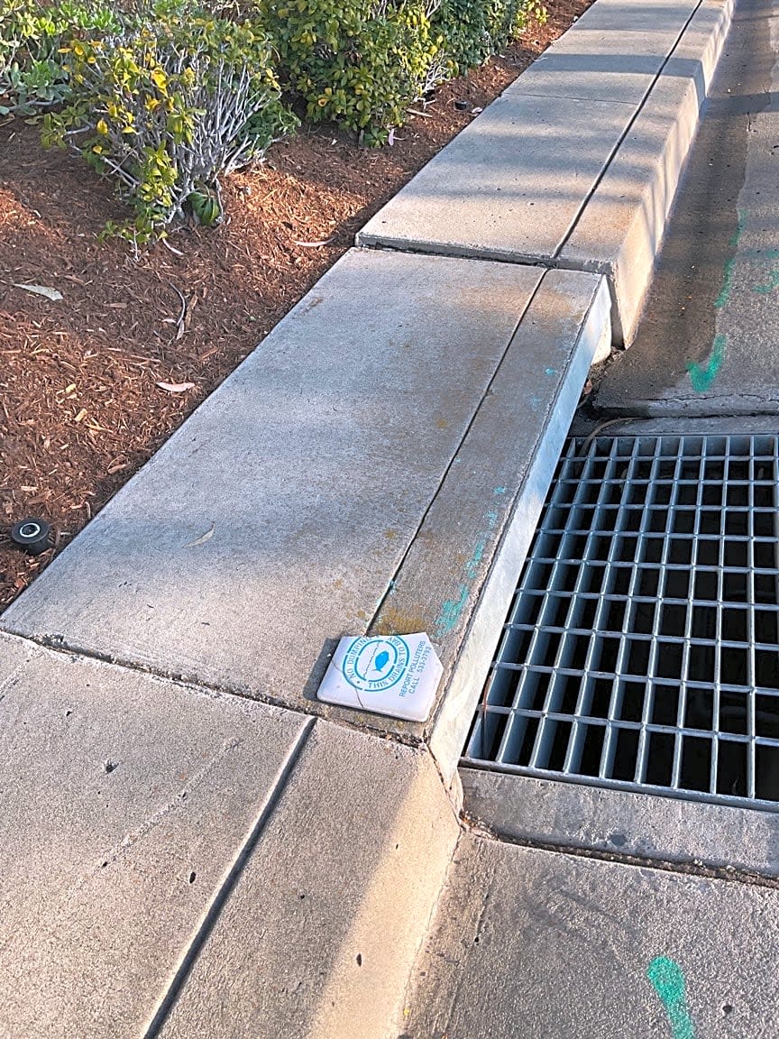 Image submitted with report