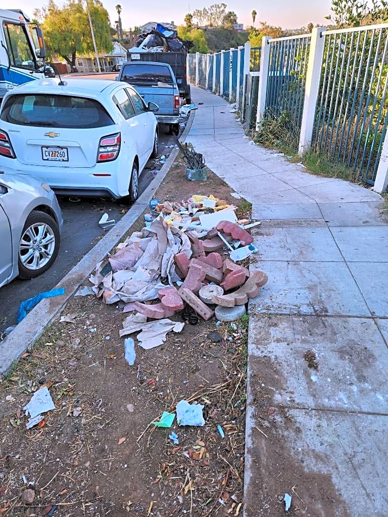 Image submitted with report