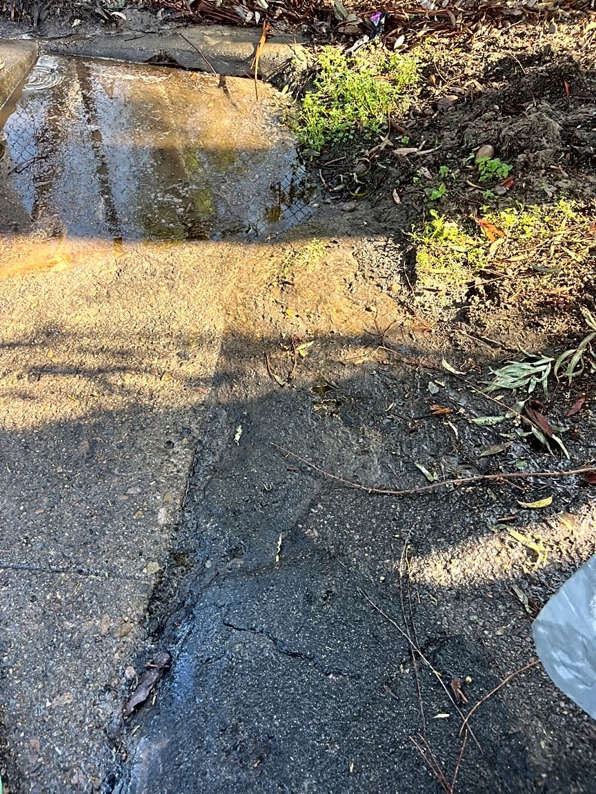 Image submitted with report