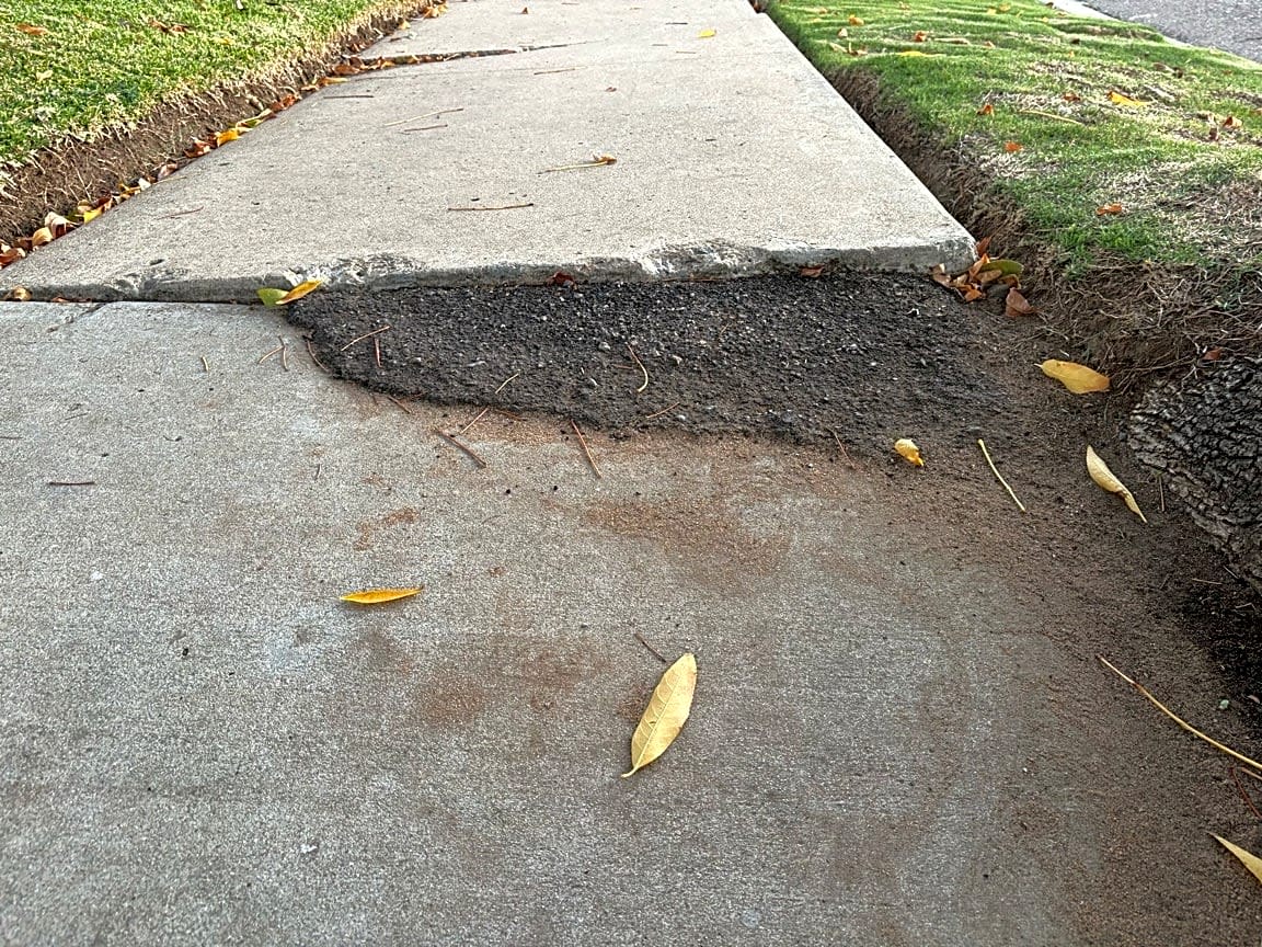 Image submitted with report