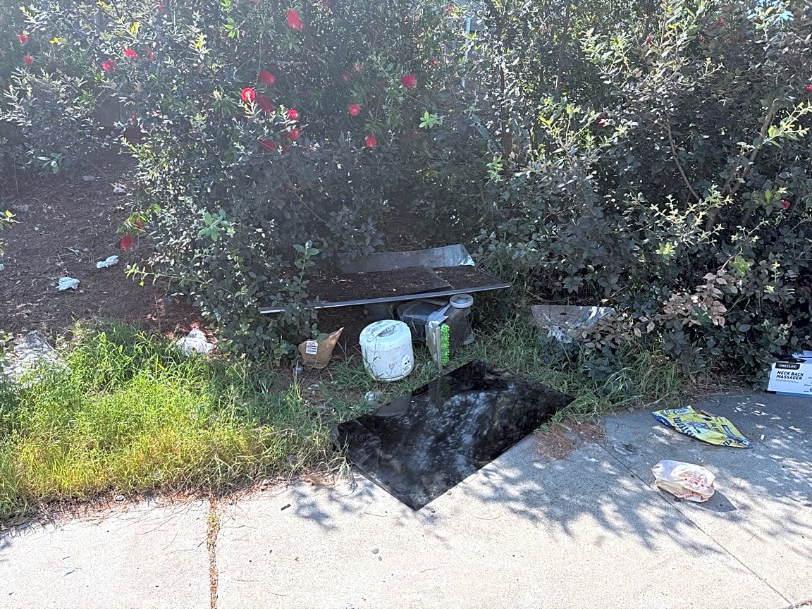 Image submitted with report