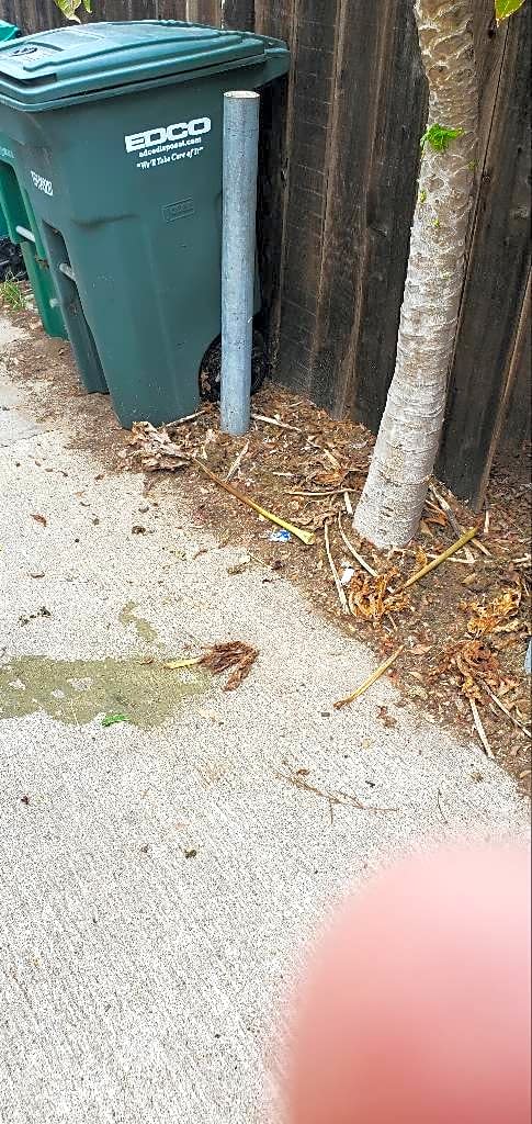 Image submitted with report