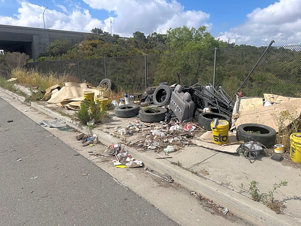 Image submitted with report