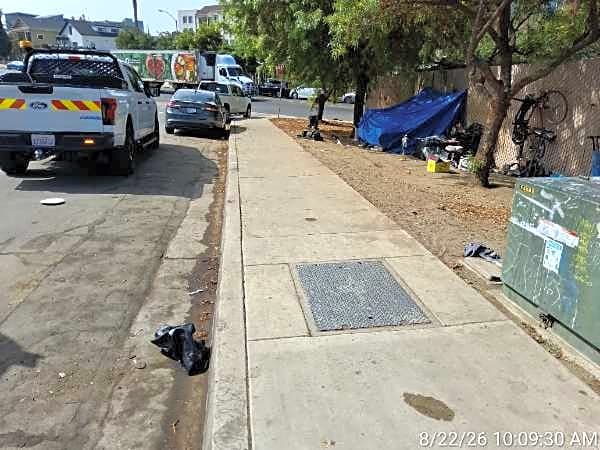 Image submitted with report