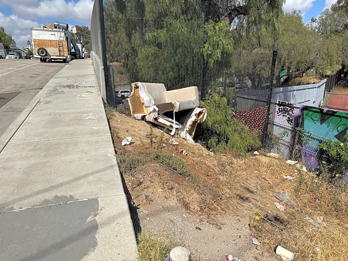 Image submitted with report