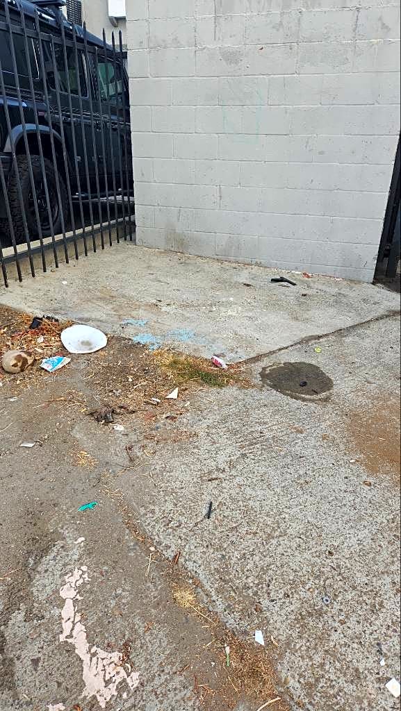 Image submitted with report