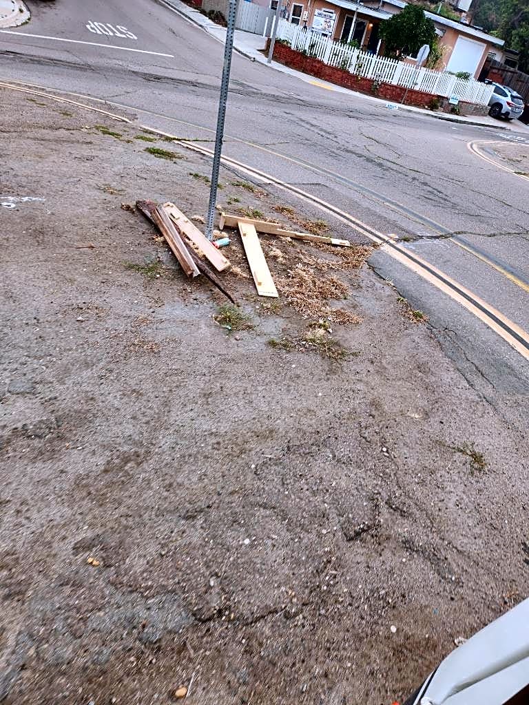 Image submitted with report