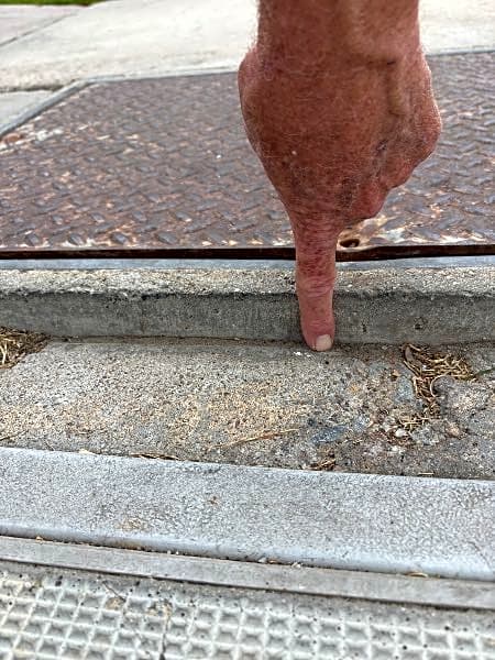 Image submitted with report