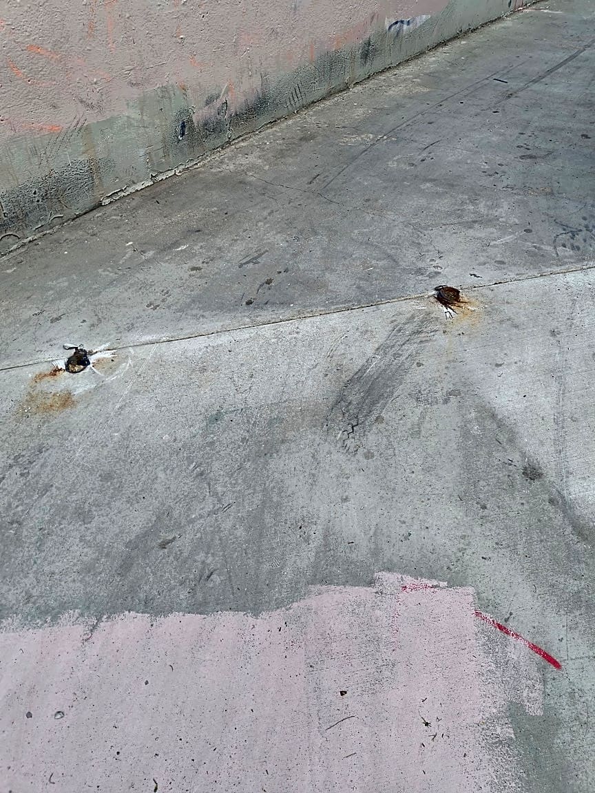 Image submitted with report