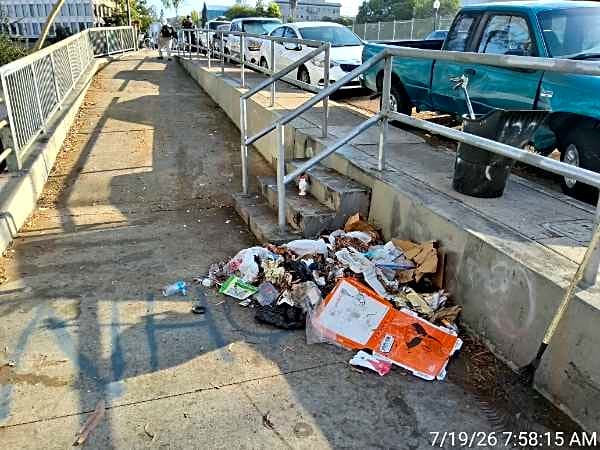 Image submitted with report