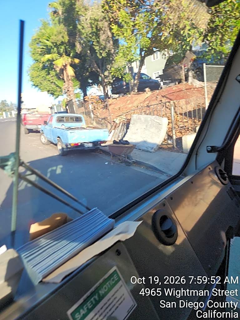 Image submitted with report