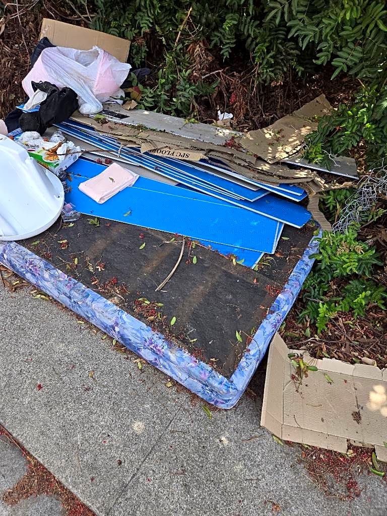 Image submitted with report
