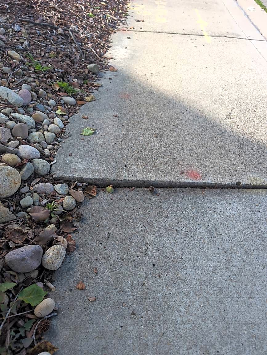 Image submitted with report